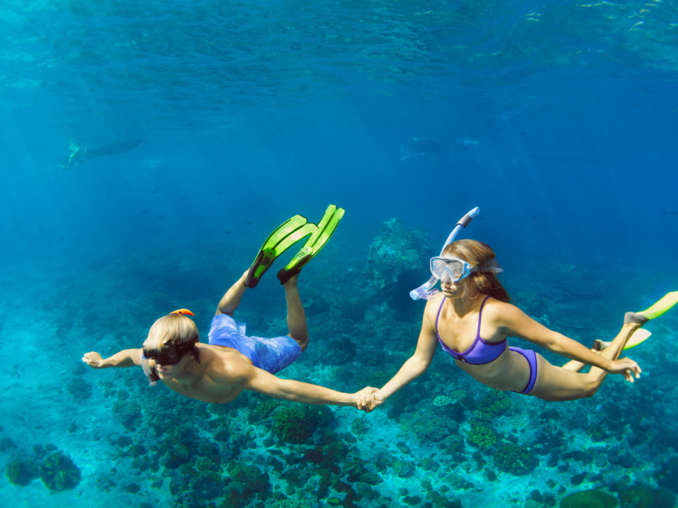 snorkel roatan Honduras